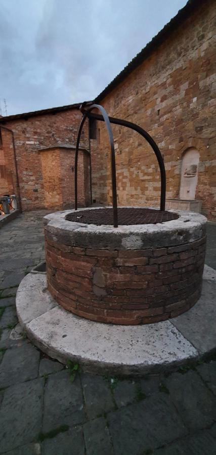 Lady Camollia * Siena