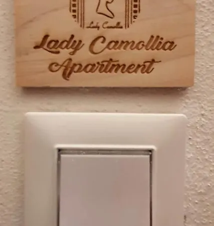 Lady Camollia Apartment Siena Buitenkant foto