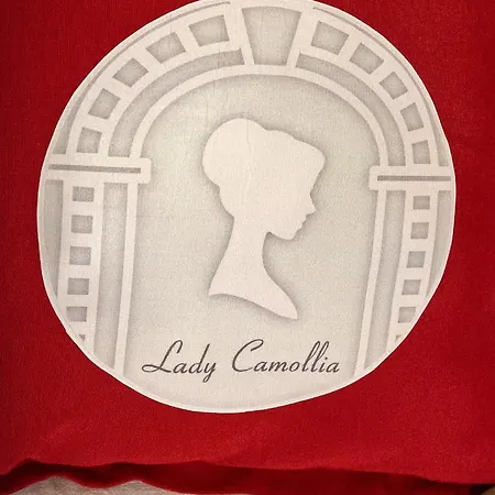 Lady Camollia Apartment Siena Buitenkant foto